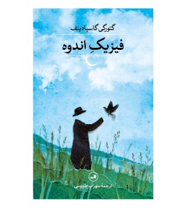 فیزیک اندوه