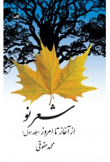 شعر نو از آغازتا امروز دوجلدی